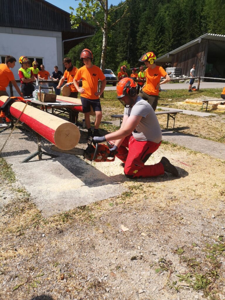 Schulvergleich Der Waldarbeit In Hohenlehen Lfs Gie H Bl