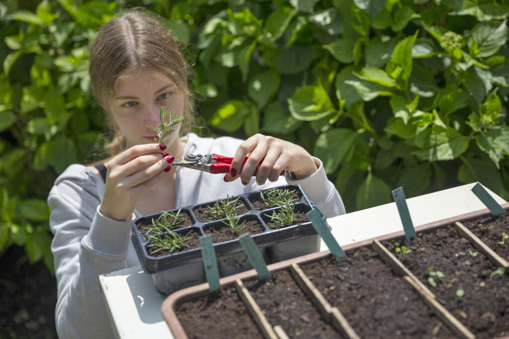 Landwirtschaft und Gartenbau