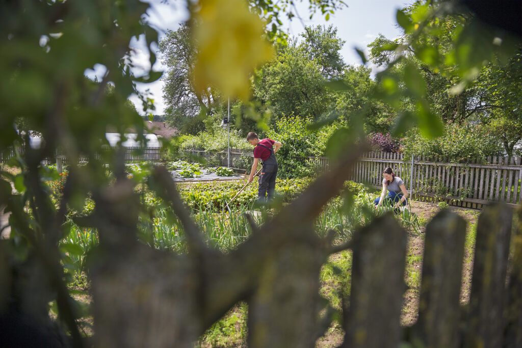 Landwirtschaft und Gartenbau