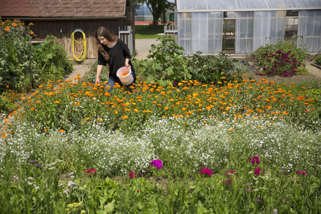 Landwirtschaft und Gartenbau