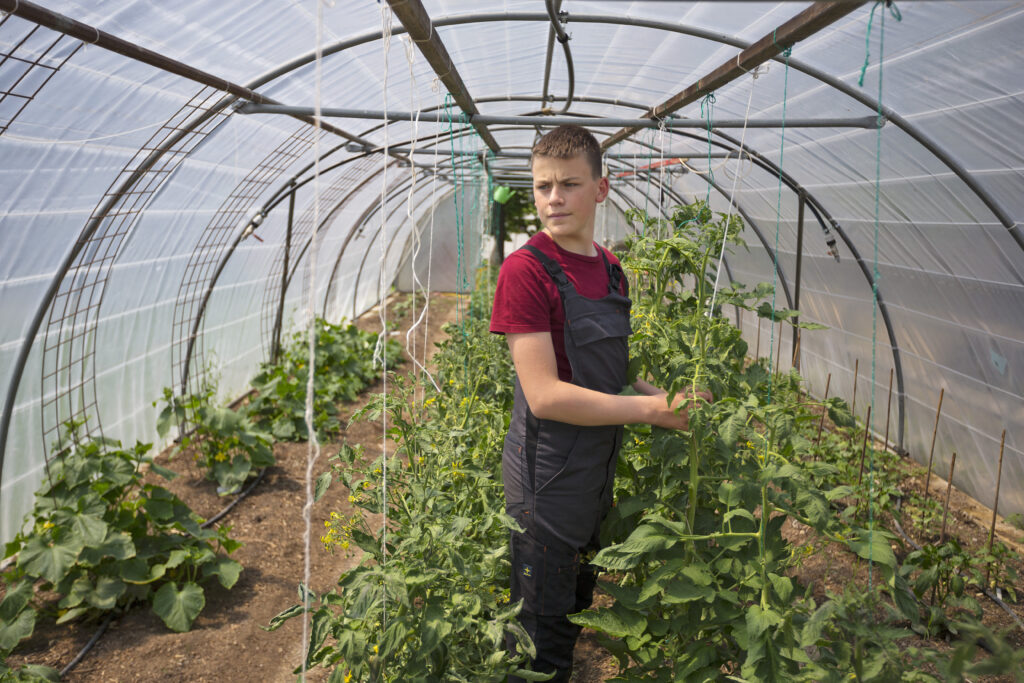 Landwirtschaft und Gartenbau