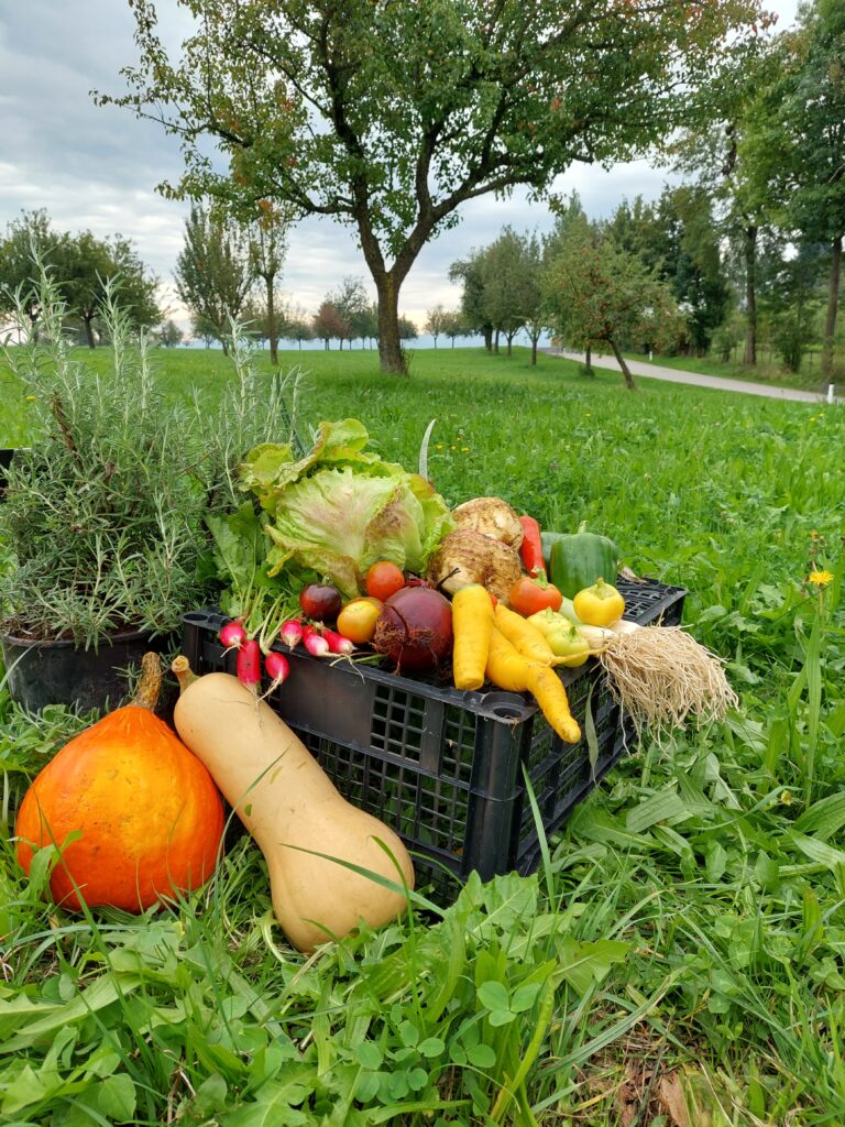 Erste Gartenbaupraxiseinheiten in der 2B