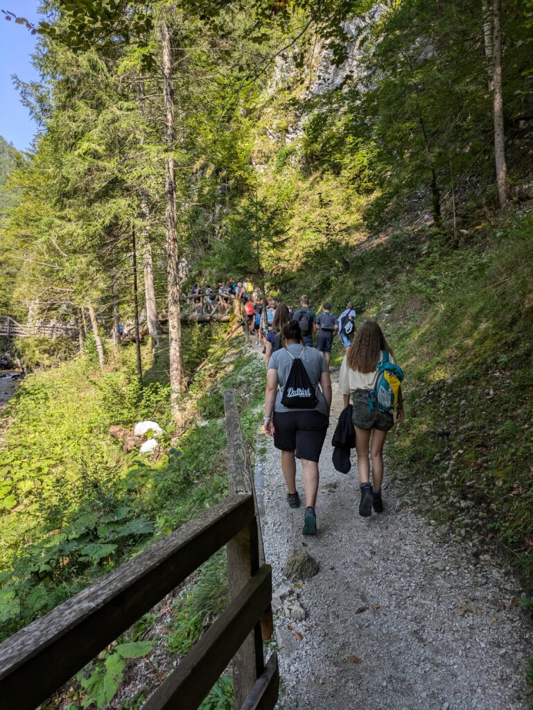 Kennenlerntag der 1. Jahrgänge: Wanderung durch das Mendlingtal