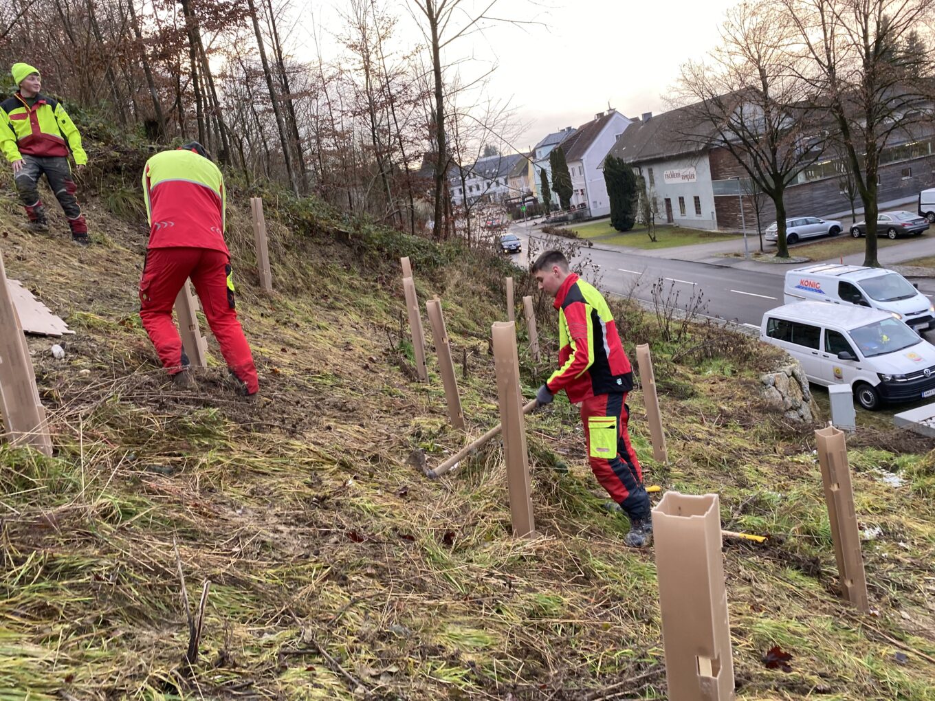 Aufforstung der 2. und 3. Jahrgänge der LFS Gießhübl