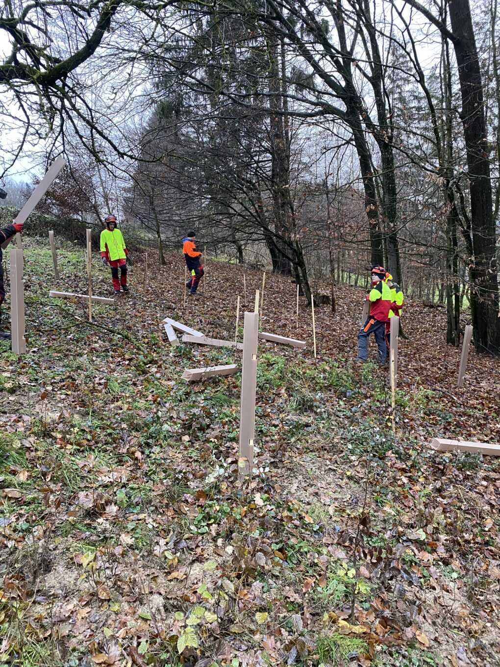 Aufforstung der 2. und 3. Jahrgänge der LFS Gießhübl