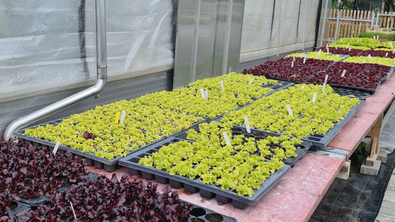 Landwirtschaft und Gartenbau