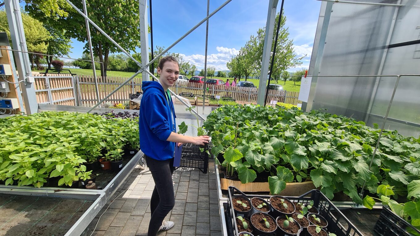 Landwirtschaft und Gartenbau