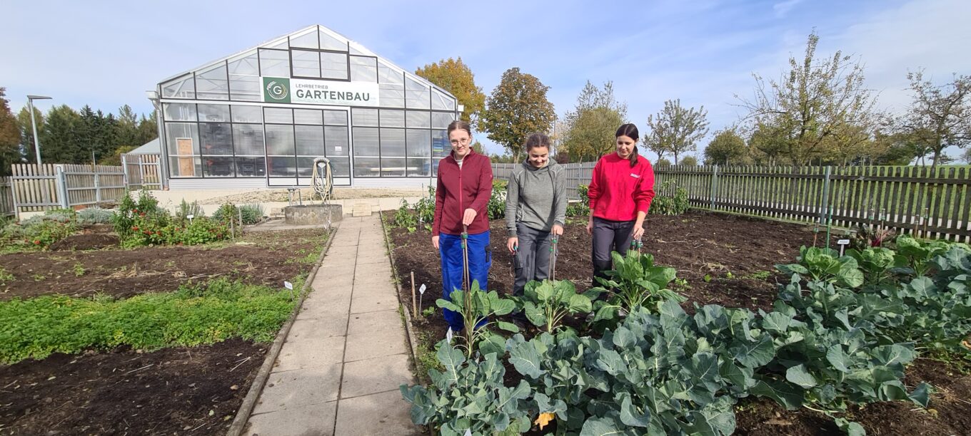 Landwirtschaft und Gartenbau