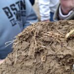 WhatsApp Image 2025-11-12 at 17.52.58