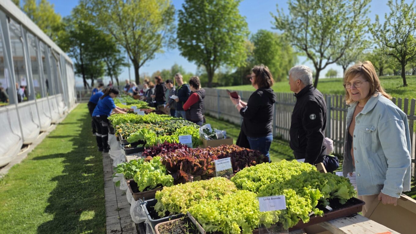 Danke für Ihren Einkauf beim Pflanzen-Raritätenmarkt Danke für Ihren Einkauf beim Pflanzen-Raritätenmarkt